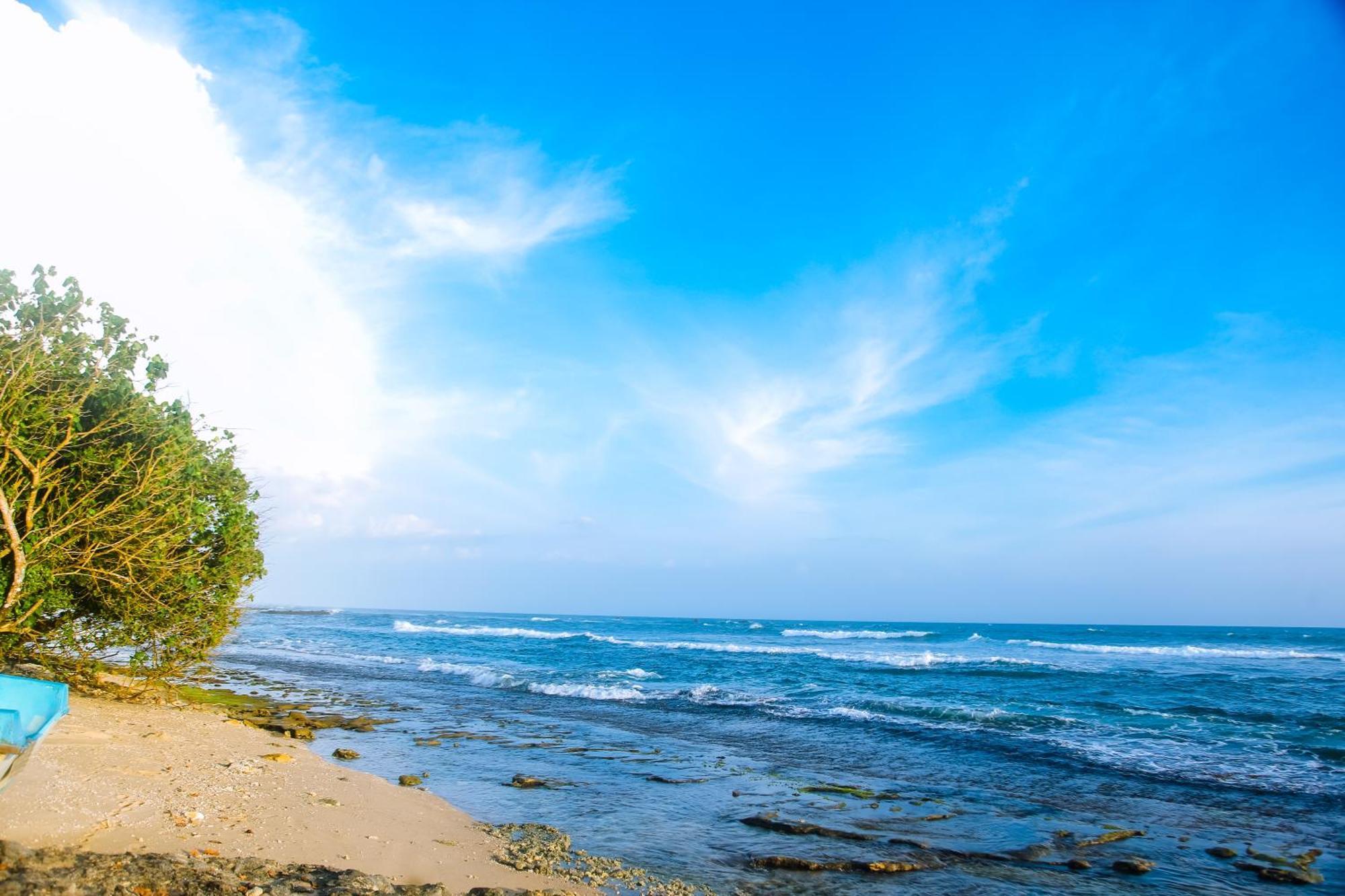 Mirissa Turtle Point Guest 호텔 외부 사진